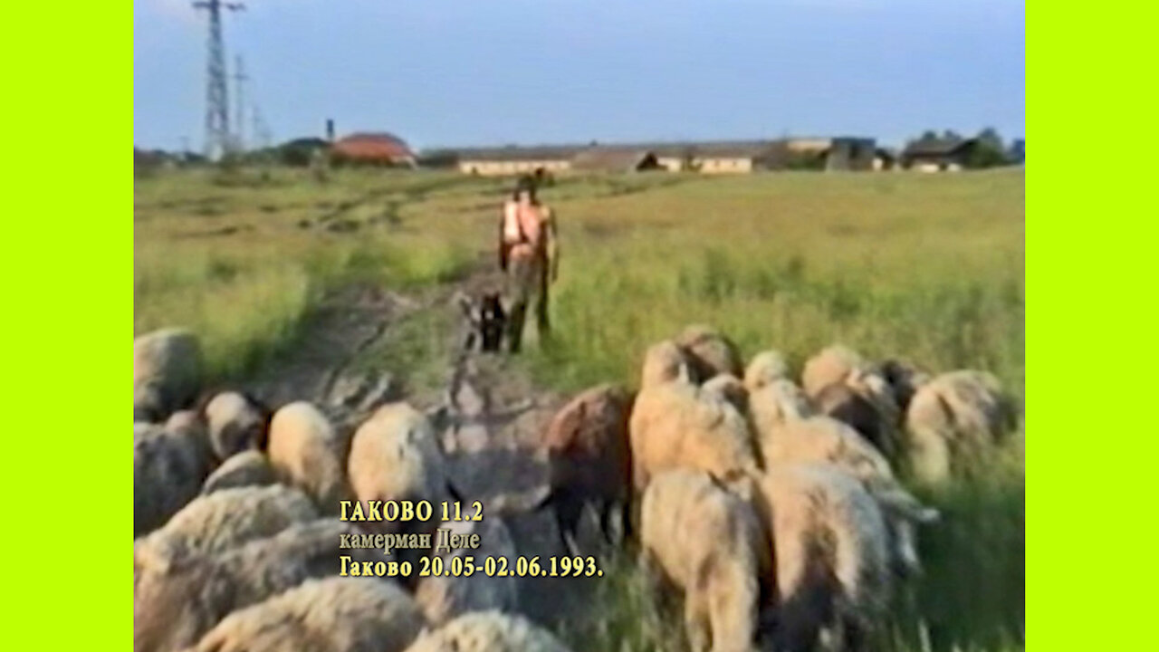 19930520 Gakovo 11.2