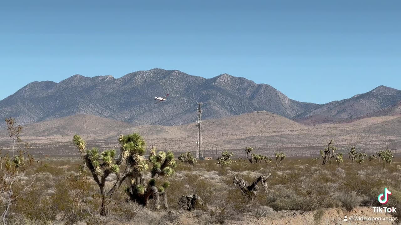 Things you see while trail riding in the desert