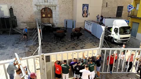 ENCIERRO ZALDUENDO 4oct - FESTES DEL ROSER 2025