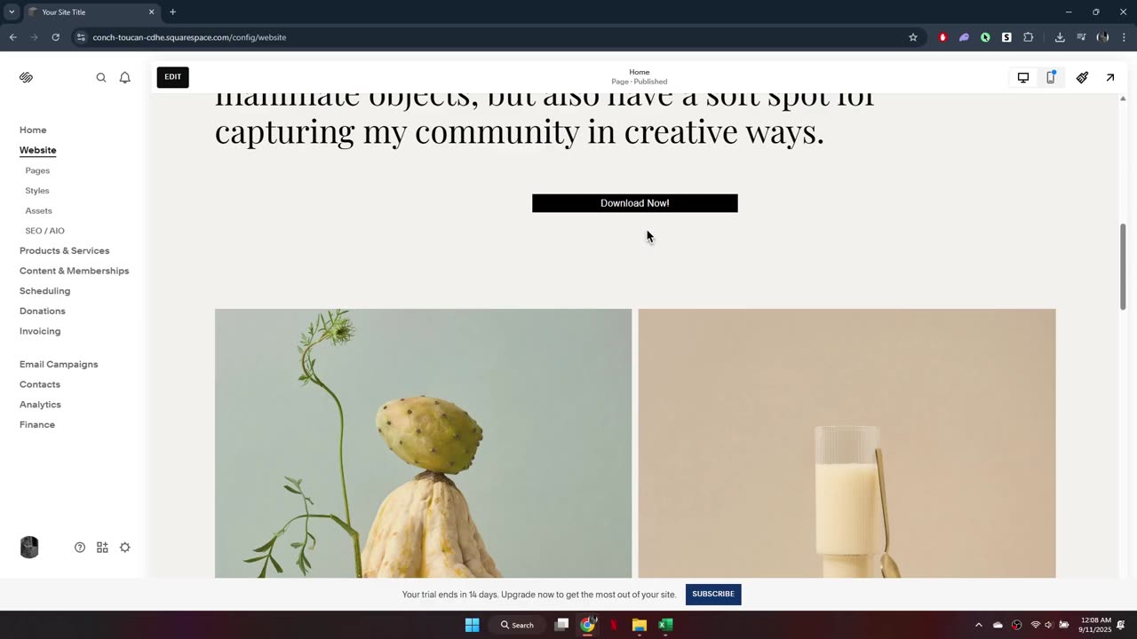 How to Add a vCard to Squarespace to Download