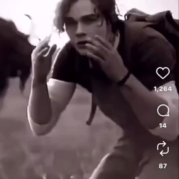 Release your fear and aggression you are safe 🙂