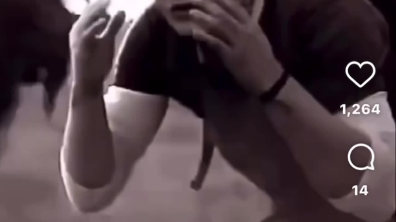 Release your fear and aggression you are safe 🙂