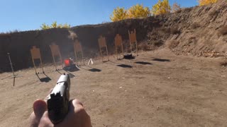 Sig Sauer P320 Full Size - The Most Hated Gun on the Internet