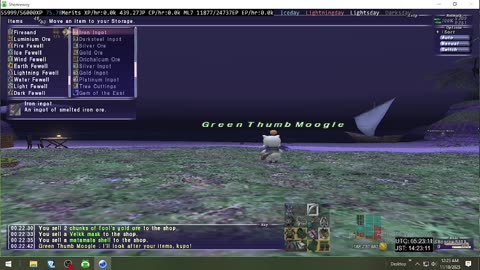 Playing Final Fantasy XI Online