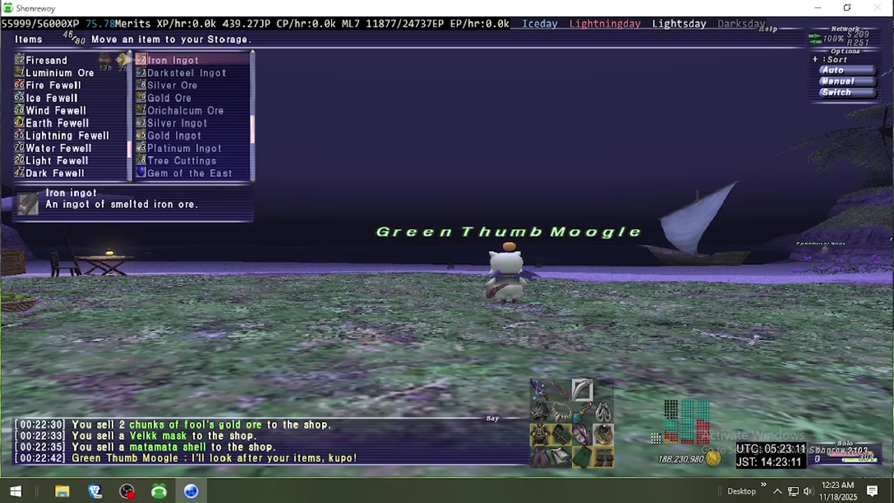 Playing Final Fantasy XI Online