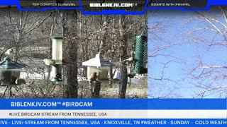 BIBLENKJV.COM™ 12/14/2025 #LIVE #BIRDCAM #WEATHER