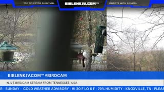 BIBLENKJV.COM™ 12/14/2025 #LIVE #BIRDCAM #WEATHER