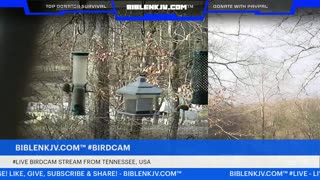 BIBLENKJV.COM™ 12/14/2025 #LIVE #BIRDCAM #WEATHER