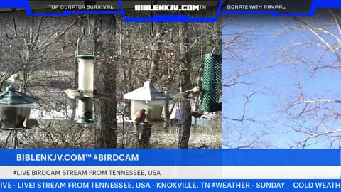 BIBLENKJV.COM™ 12/14/2025 #LIVE #BIRDCAM #WEATHER