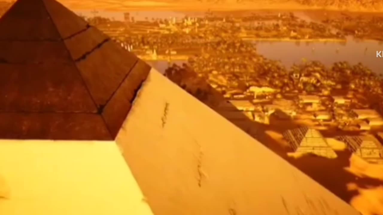 🐍は🐍を深堀り!