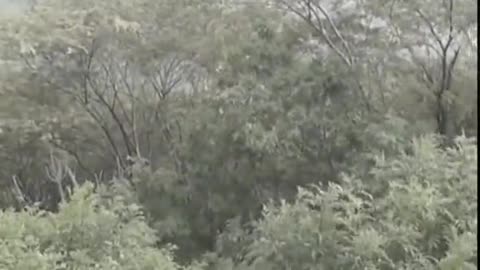 😱👻 The Scariest Poltergeist Session I've Ever Seen! | TheHauntingHour