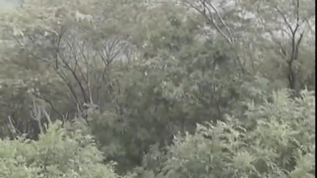 😱👻 The Scariest Poltergeist Session I've Ever Seen! | TheHauntingHour