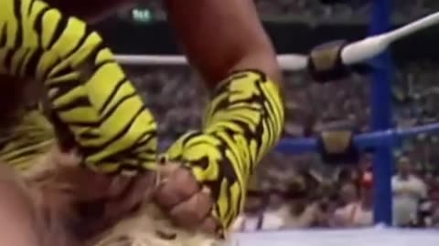 Brutus beefcake-birth of Brutus the barber beefcake