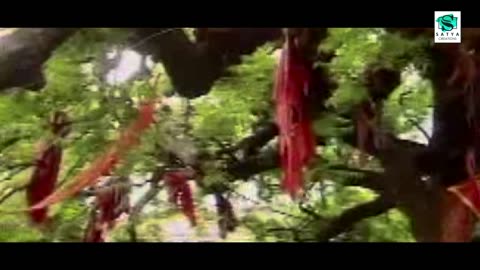 love song,nonstop videoscatoon videos bhajan,comedy video movies viral ,songs gujarati song Health,