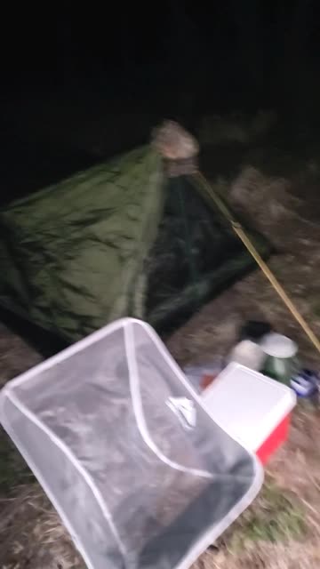 You Never Know Who, Or What Is In The Woods!