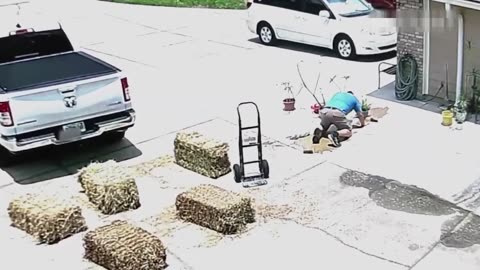 Impossible Try Not To Laugh Challenge 😂 Instant Regret Moments You Can’t Unsee