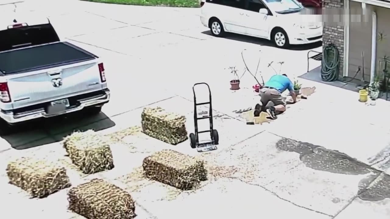Impossible Try Not To Laugh Challenge 😂 Instant Regret Moments You Can’t Unsee