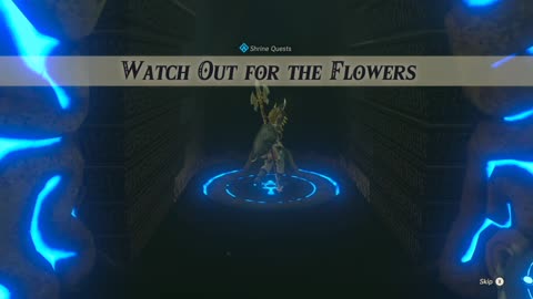 Watch Out for the Flowers Side Quest – Zelda: BOTW (Switch 2)