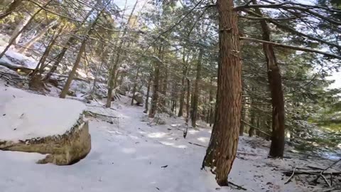 Take a Hike