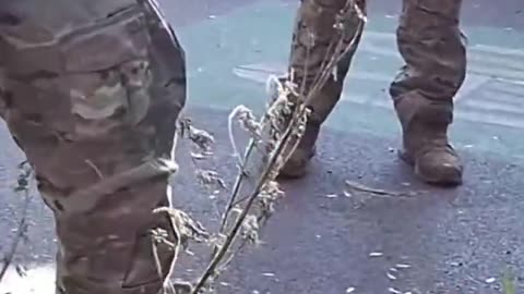 DHS agents got another Juan in Albany Park after which a mob formed around for