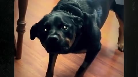 😱👻 You Won't Believe How Slightly Haunted This Is | TheHauntingHour