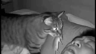 😂🐱 When Your Cat Shows ‘Gratitude’ in the Funniest Way! | FunFM