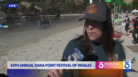 Festival of whales underway in Dana Point