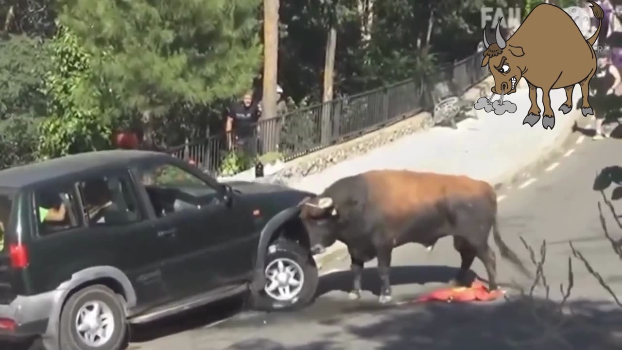 This bull ain't joking around - smashes straight into a car!