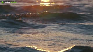 If you want to relax, then watch our live now