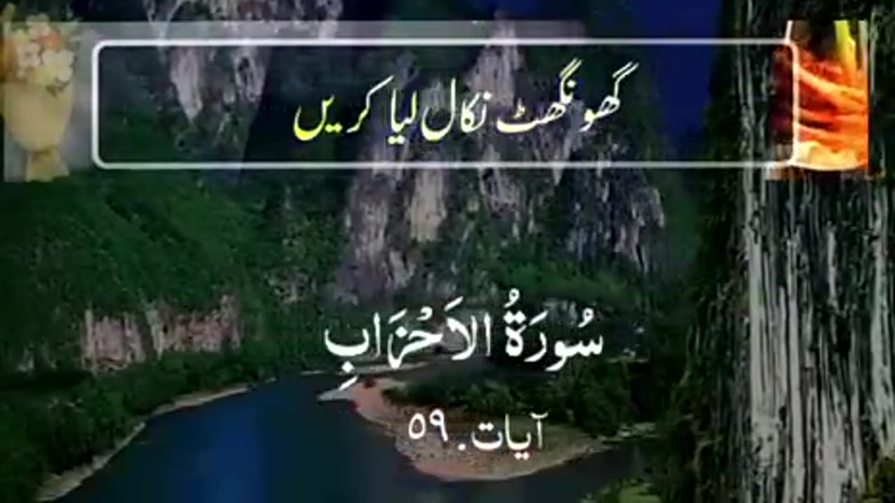 Beshak 💯♥️✨🕊️