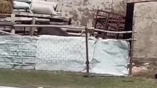 😂🚨 Epic Fail: Don't Worry, He Can't Get to the Roof | FunFM