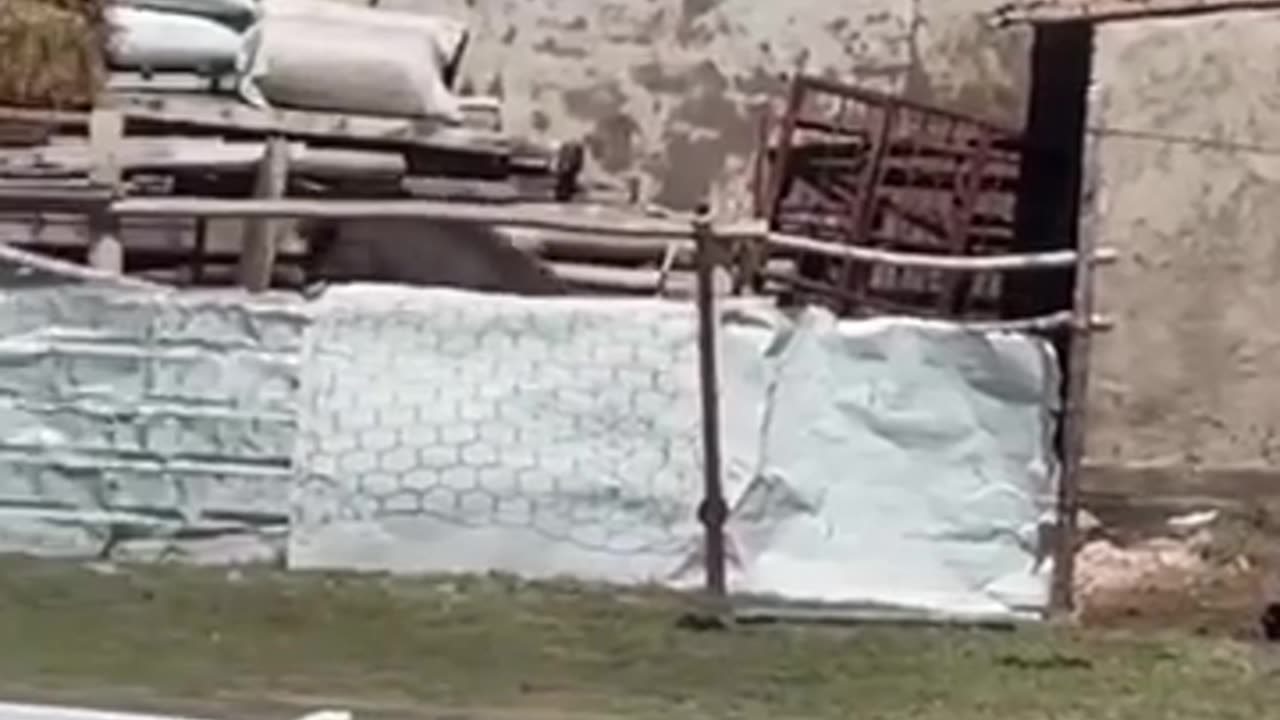 😂🚨 Epic Fail: Don't Worry, He Can't Get to the Roof | FunFM