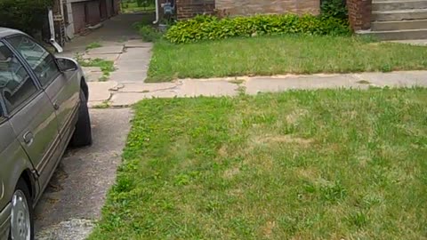 Lenoard, you are offically on blast, THE SHEA