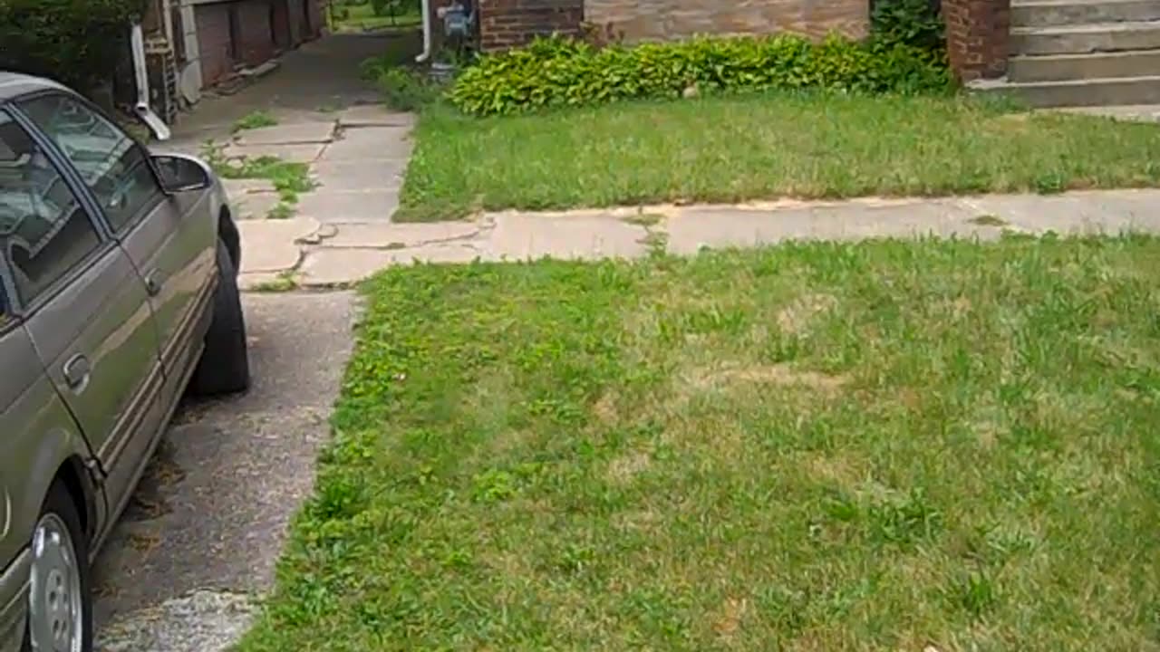 Lenoard, you are offically on blast, THE SHEA