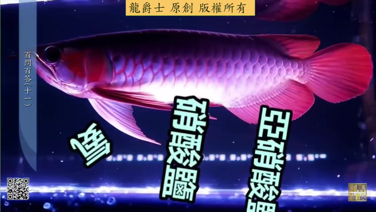 【龍爵士】千問千答 Q114 魚缸pH5 5以下對魚有害嗎