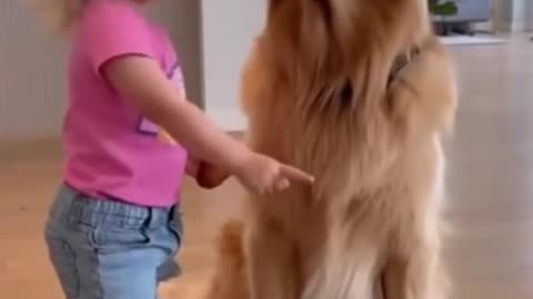 Cute Baby Playing With Animals | Adorable Baby & Pets Moments | Funny Animal Reactions”