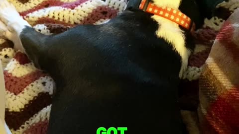Nap