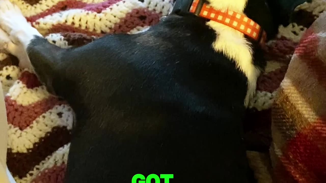Nap
