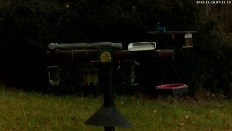 Bird Feeder in Western Maryland USA