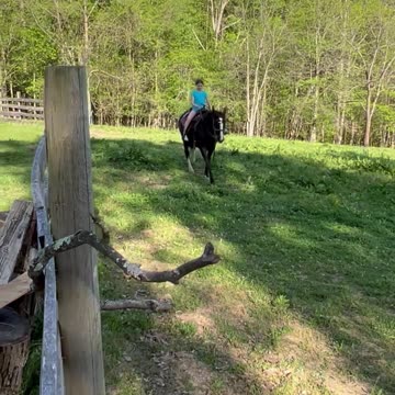 Emma and Misty 2 May 2024