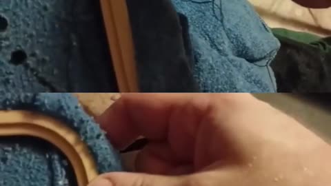 They're coming along nicely.