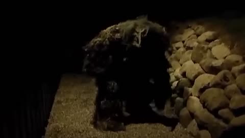 CCTV Camera Captured What No One Was Supposed To See..!!!