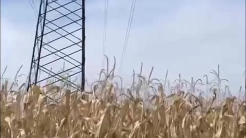 Ukraine war combat footage 10/6/25