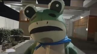 🎉 UPDATE: The Portland Frog is Okay! | FunFM
