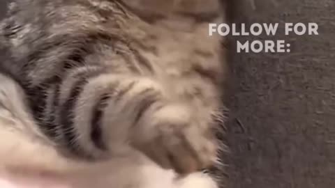 Epic Fails That Broke the Internet