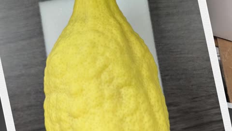 Citron genetics