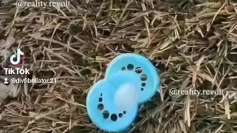 When a day in the life of a Pattern Recognition Specialist takes you down another the rabbit-hole