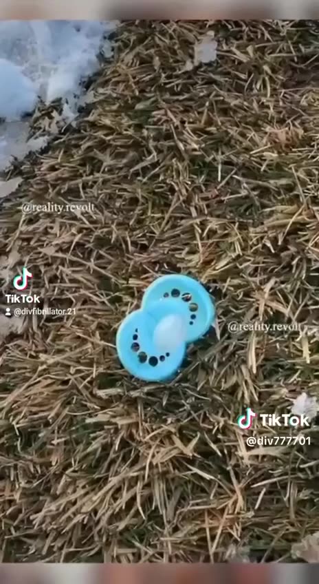 When a day in the life of a Pattern Recognition Specialist takes you down another the rabbit-hole