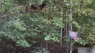 😱🤣 Their Priorities are WILD! The Fall Was Inevitable | FunFM