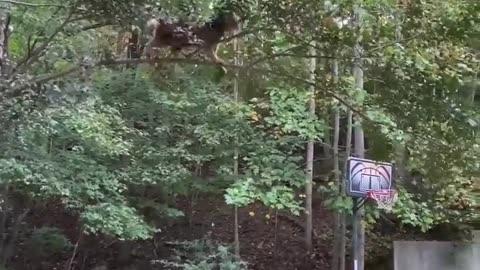 😱🤣 Their Priorities are WILD! The Fall Was Inevitable | FunFM